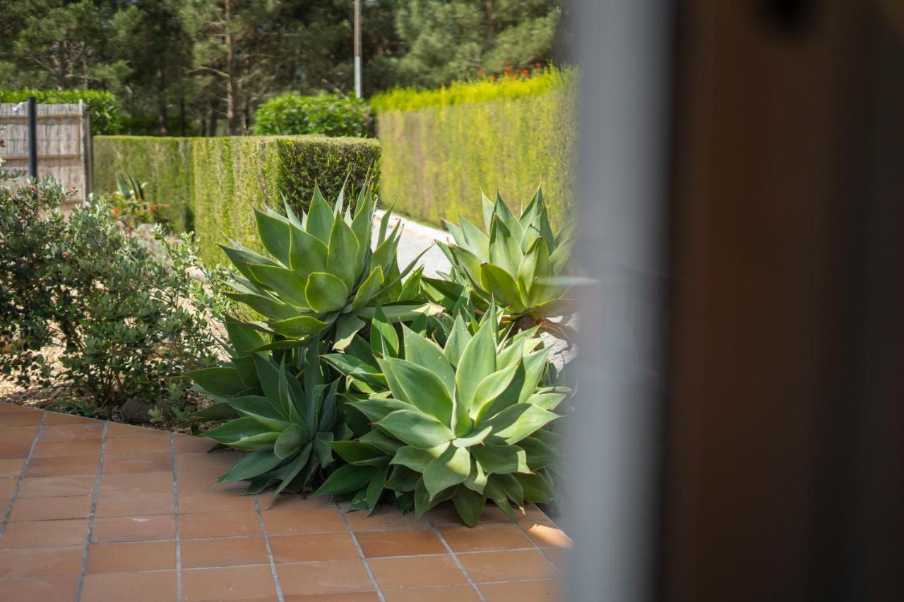 Casa Garrod - Spacious Family Villa Aljezur Eksteriør bilde