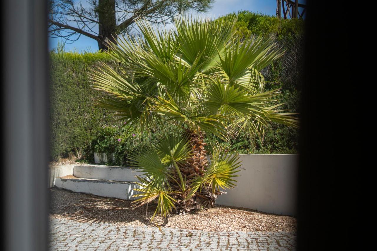 Casa Garrod - Spacious Family Villa Aljezur Eksteriør bilde